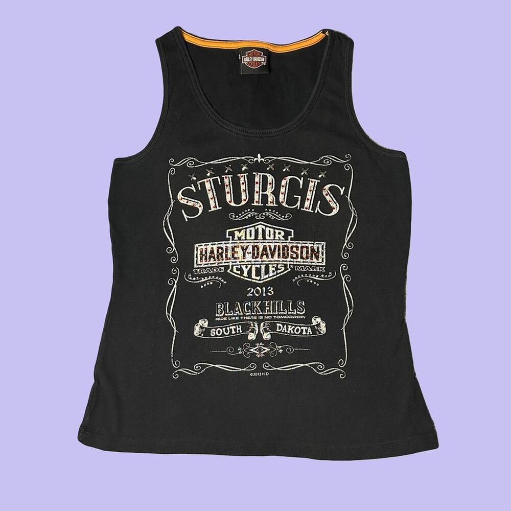 2013 harley davidson sturgis tank